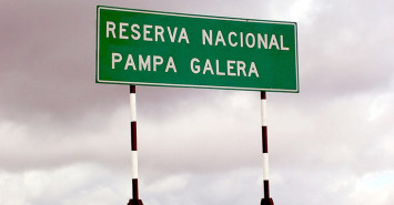 Pampa Galeras National Reserve